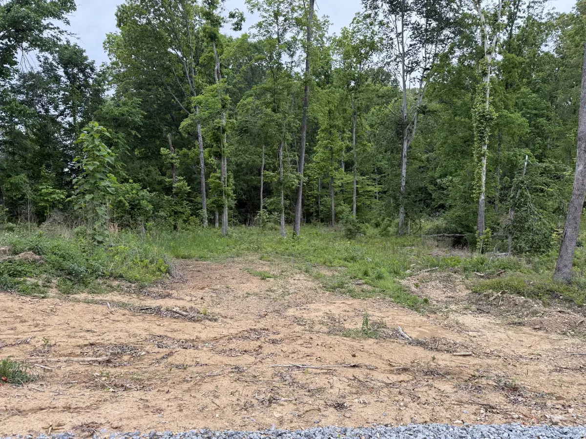 2995 Hwy 231, Erin, TN 37061 - #1
