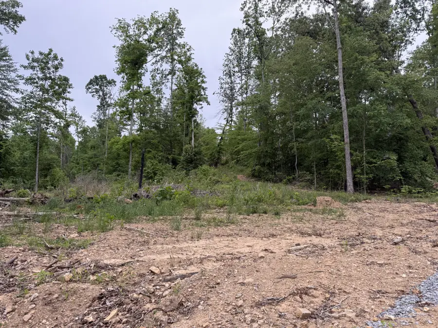 2995 Hwy 231, Erin, TN 37061 - #2
