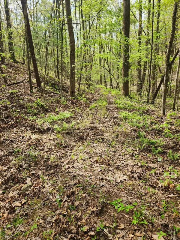 0 Chestnut Mountain Road, Reliance, TN 37369