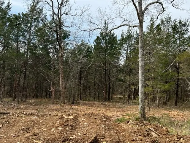2421 Richland Richardson Rd, Murfreesboro, TN 37130 - #3