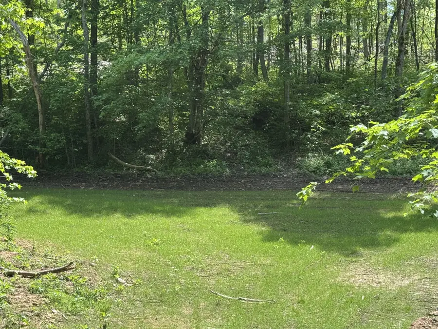0 Cub Creek Rd, Indian Mound, TN 37079 - #3