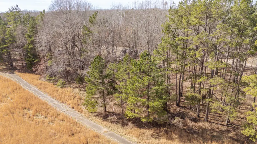 0 Treadwell Prong Rd, Linden, TN 37096 - #2