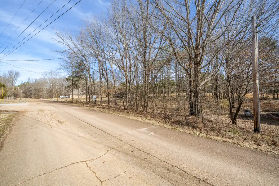 0 Treadwell Prong Rd, Linden, TN 37096 - #3
