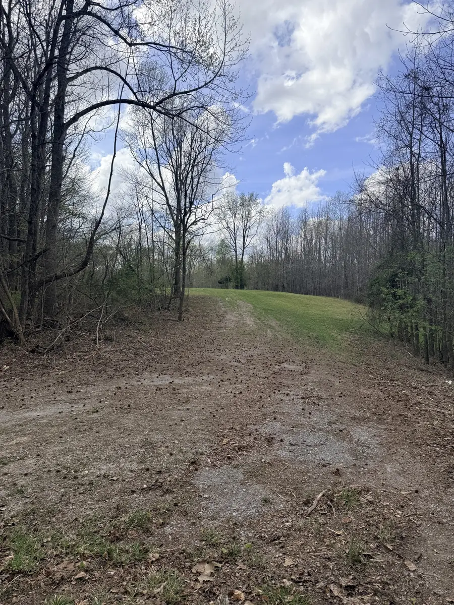 0 Sugar Tree Knob Rd, Liberty, TN 37095 - #2