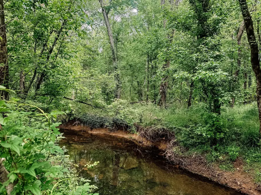 1597 Goodfield Road, Decatur, TN 37322 - #2