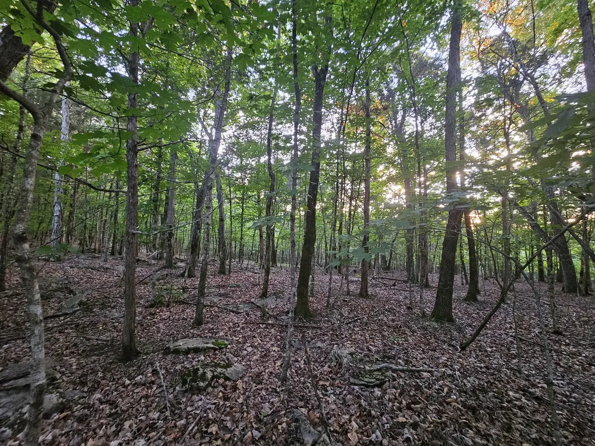 3 Sewanee Summit Road, Decherd, TN 37324 - #1