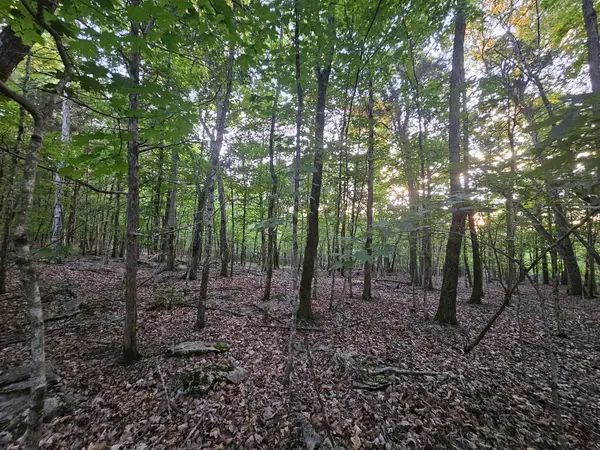 3 Sewanee Summit Road, Decherd, TN 37324