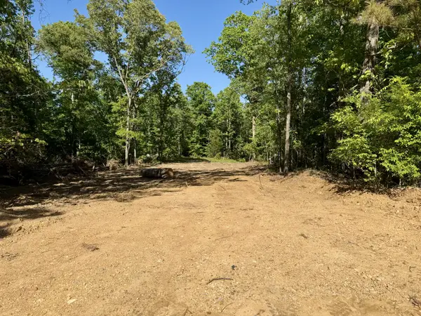 0 Campground Hollow Road, Nunnelly, TN 37137