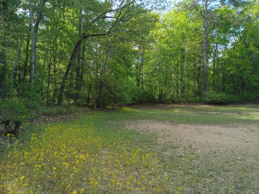 44 County Road 219, Decatur, TN 37322 - #3