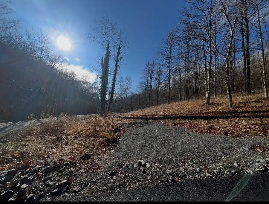 426 Rock House Hollow Road, Westmoreland, TN 37186 - #2