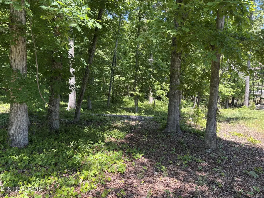 0 E Shore Drive, Rockwood, TN 37854 - #3