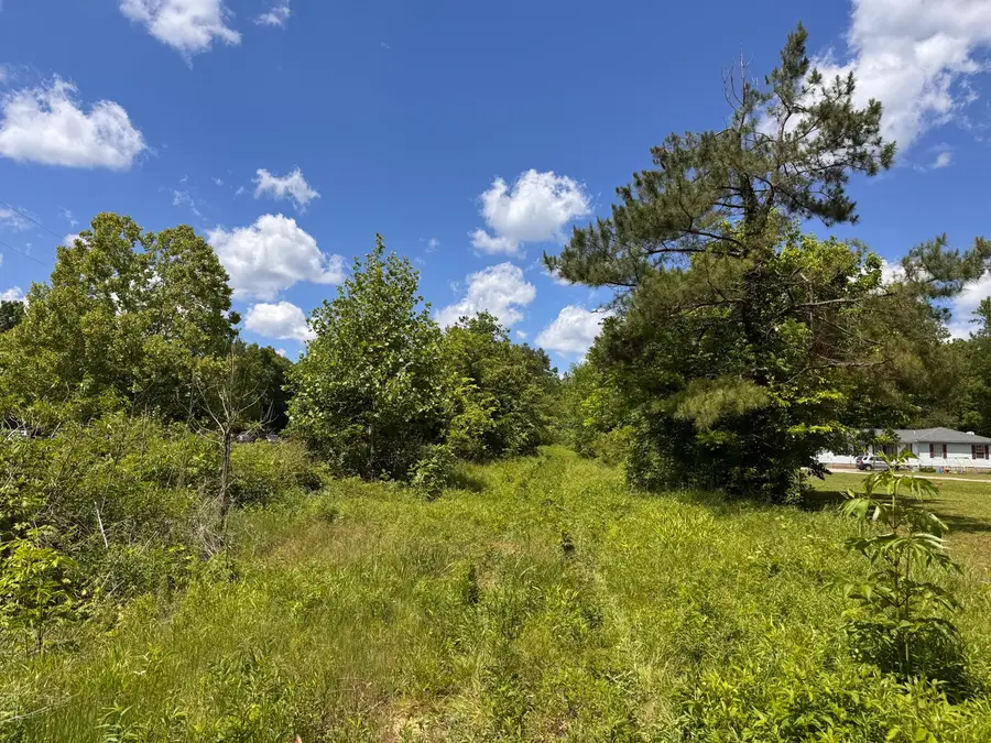 0 Dude Road, Savannah, TN 38372 - #2