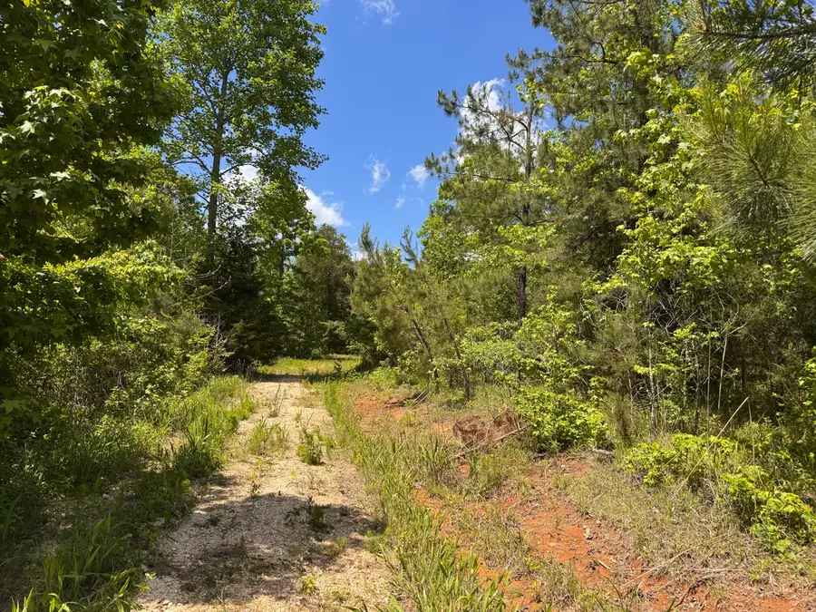 0 Dude Road, Savannah, TN 38372 - #3
