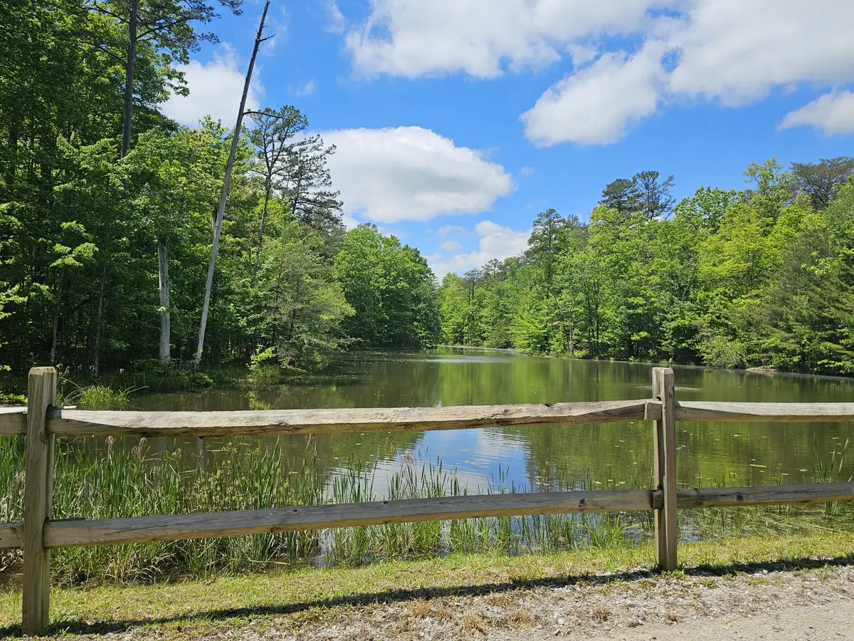 6 Beechwood Trail, Coalmont, TN 37313 - #1