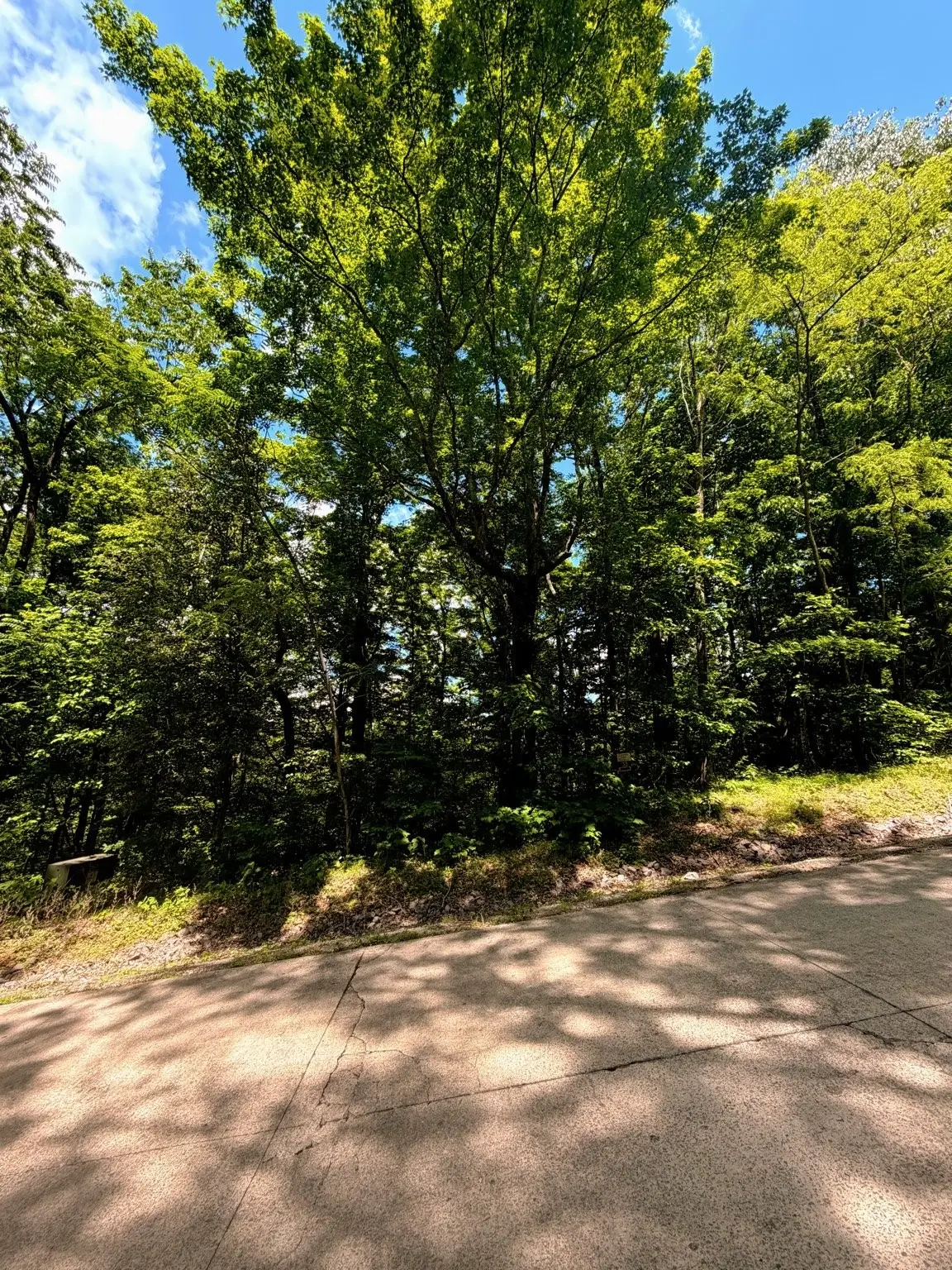 33 Swiper Dr, Smithville, TN 37166 - #1