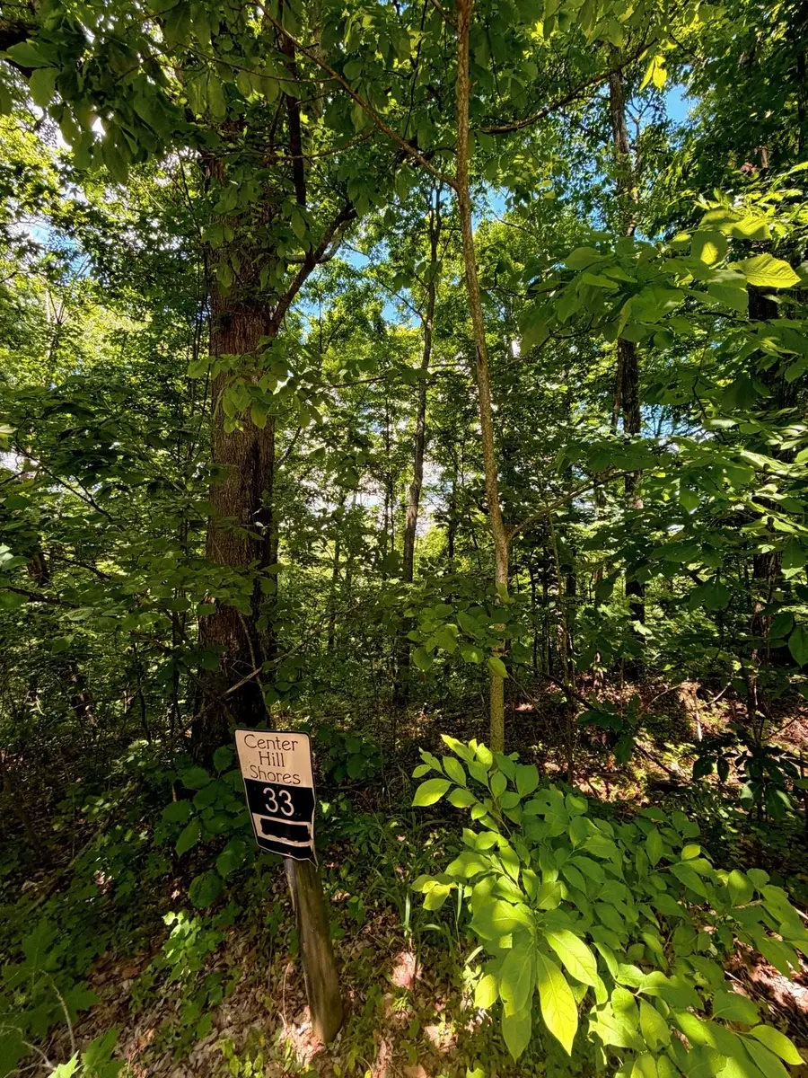 33 Swiper Dr, Smithville, TN 37166 - #2