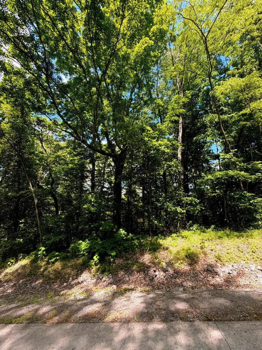 33 Swiper Dr, Smithville, TN 37166 - #3