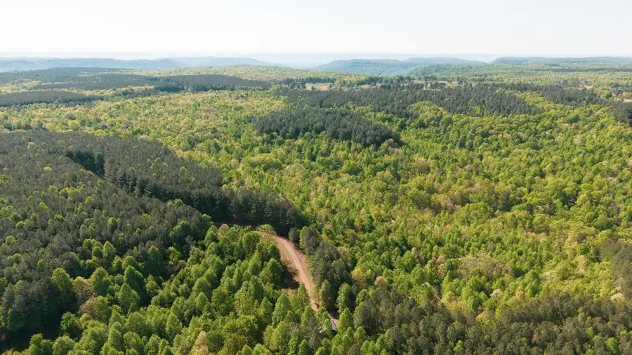 0 Browns Trace Road, South Pittsburg, TN 37380 - #2