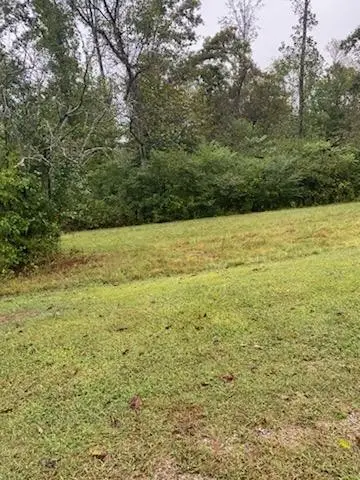 516 Munro Rd, Pulaski, TN 38478 - #1