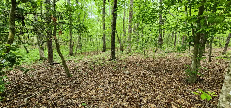 0 Windstone Drive, Tracy City, TN 37387 - #3