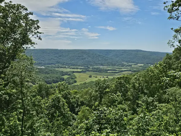 15 Valley View Drive, Altamont, TN 37301