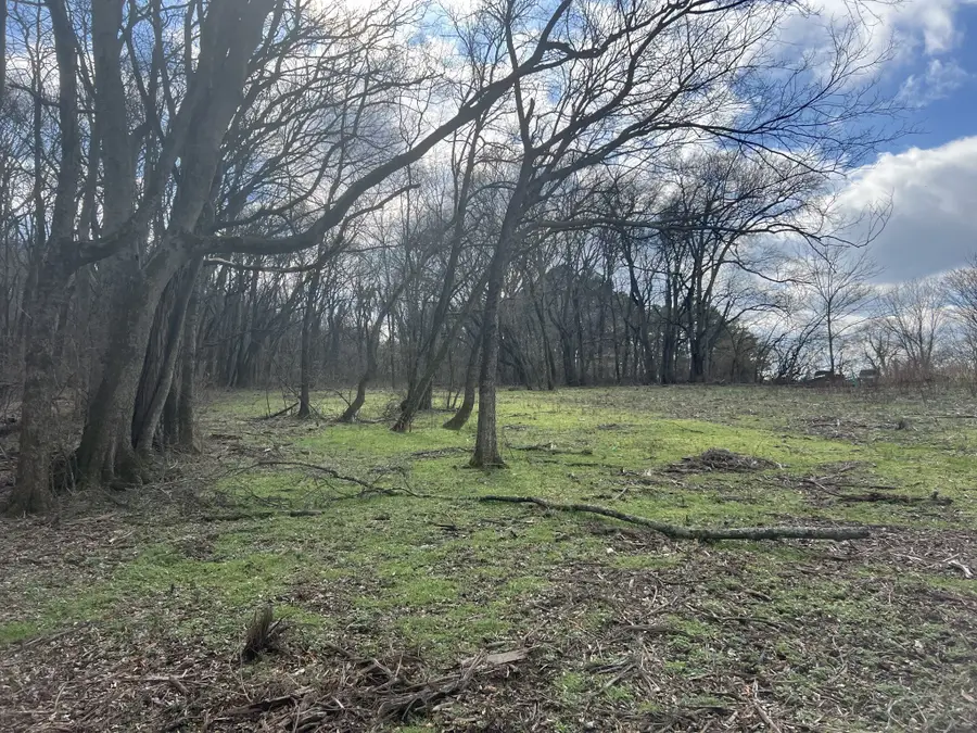 917 1st Ave, Mount Pleasant, TN 38474 - #3