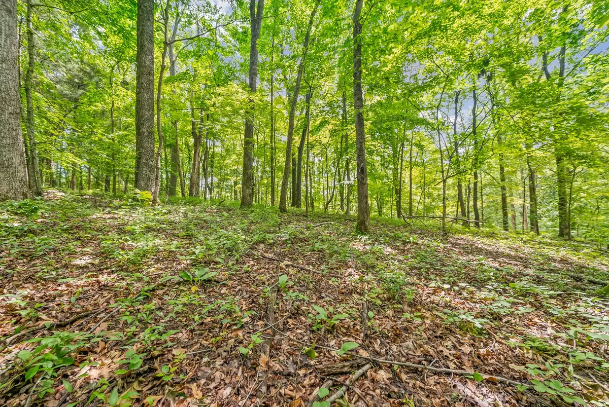 1 Budds Creek Road, Palmyra, TN 37142 - #1