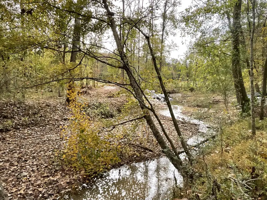 1 Budds Creek Road, Palmyra, TN 37142 - #2