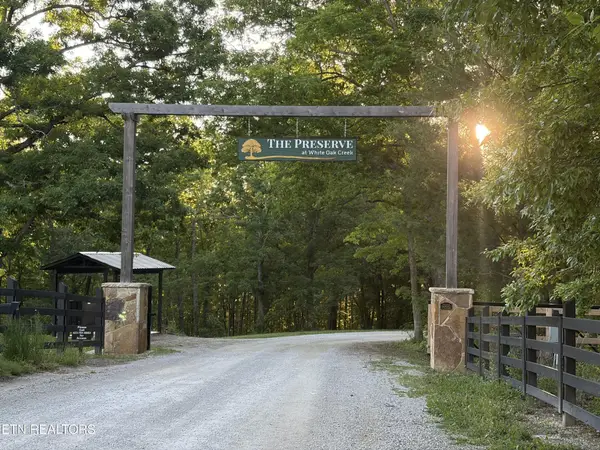 68 Black Bear Lane, Sunbright, TN 37872