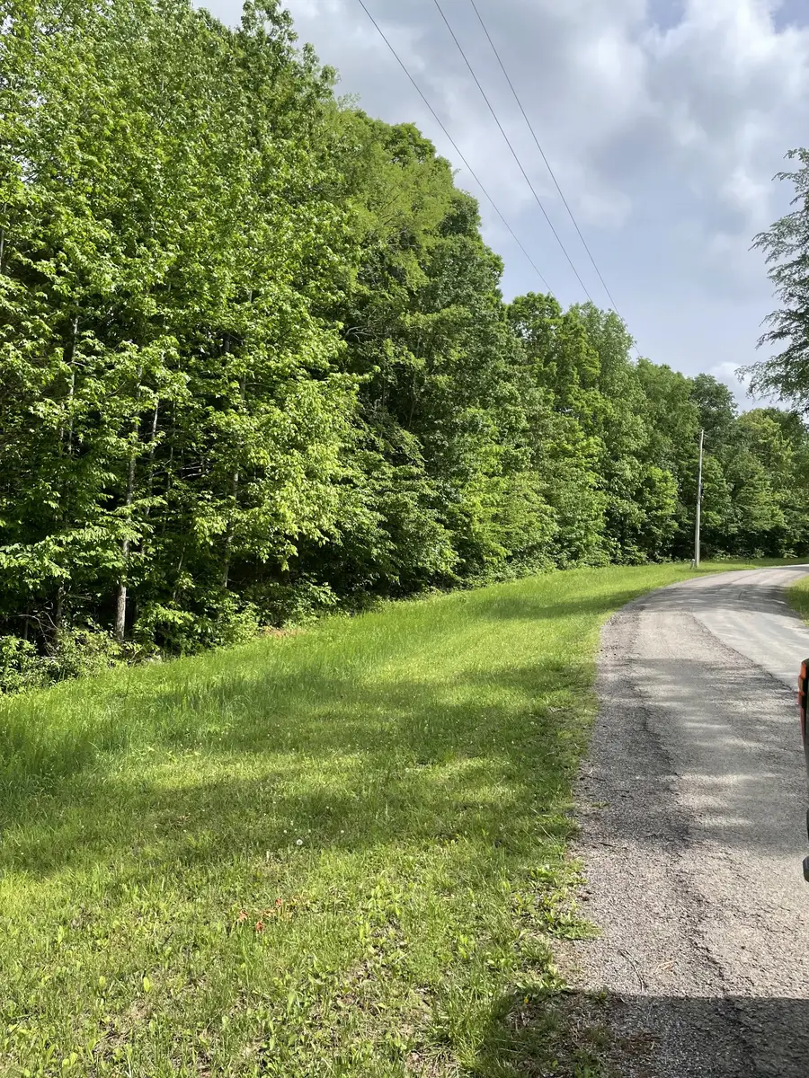 0 Kizer Ridge Road, Erin, TN 37061 - #2