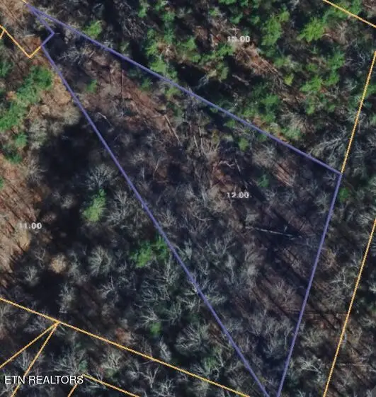 251 Mine Hollow Rd, Reliance, TN 37369 - #3
