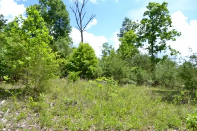 0 Beauchamp Rd, Burkesville, KY 42717 - #1