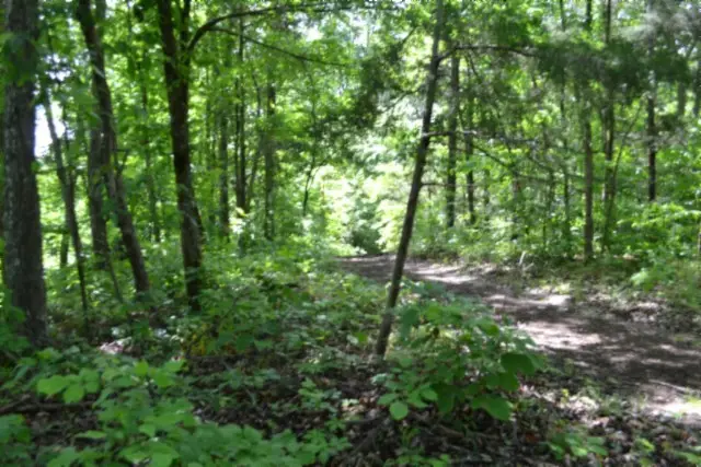 0 Beauchamp Rd, Burkesville, KY 42717 - #3
