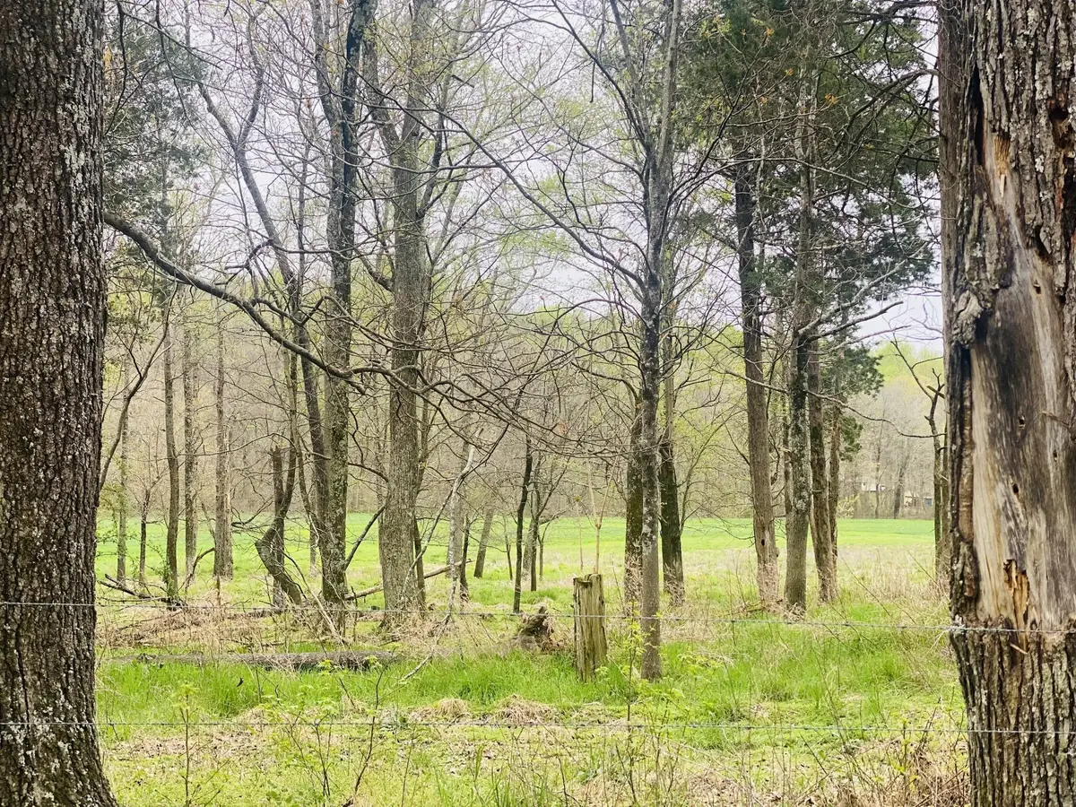 0 Thomasville Rd, Chapmansboro, TN 37035 - #1