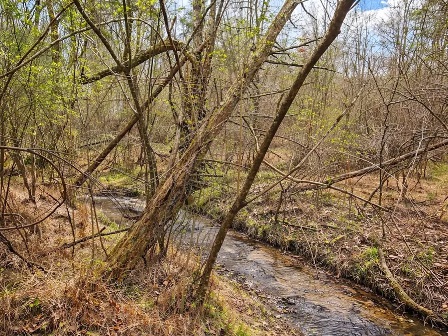 3180 Spring Place Road Se, Cleveland, TN 37323 - #2