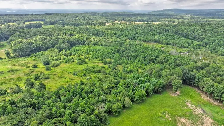 329 Flower Garden Road, Grandview, TN 37337 - #2