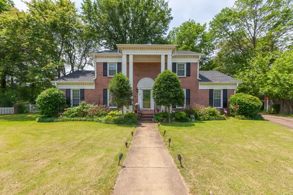 5 Maryville Cv, Jackson, TN 38301