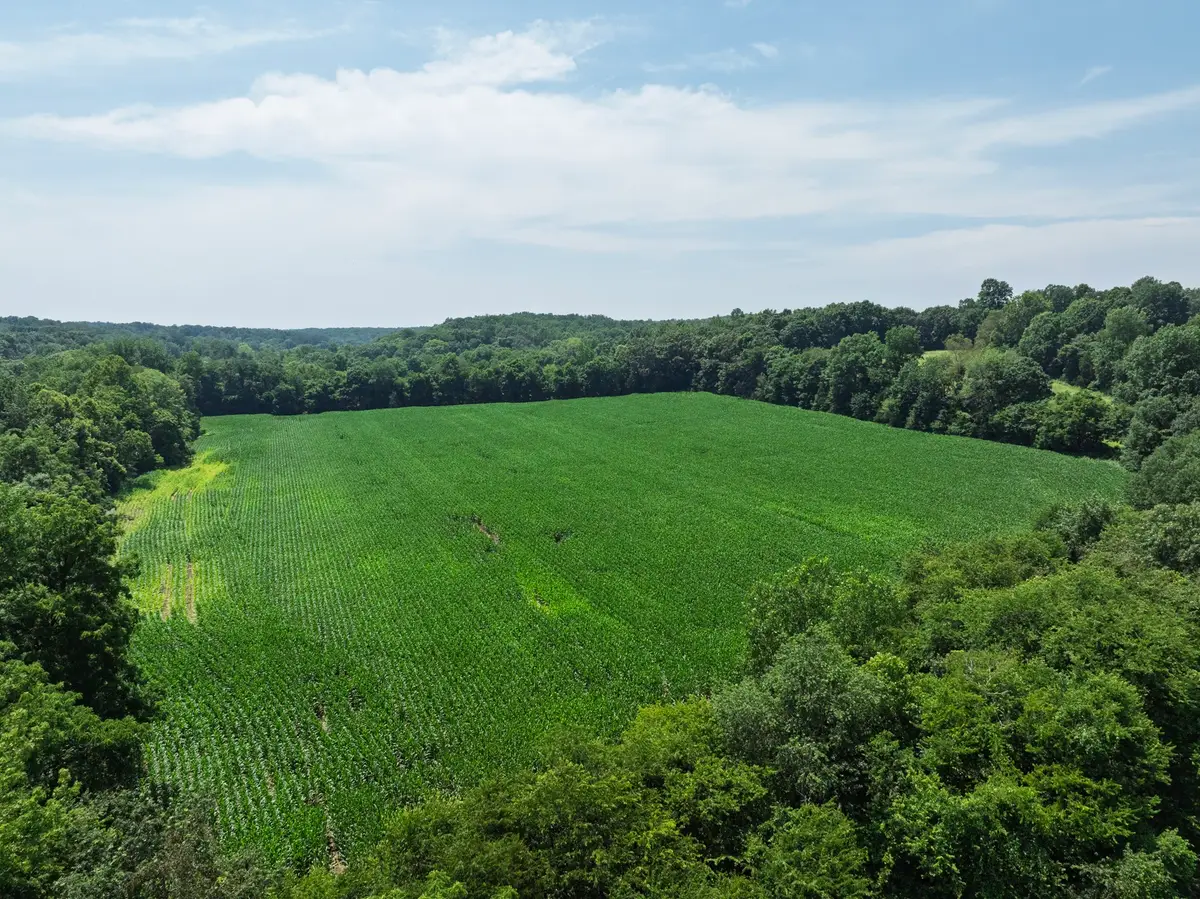 4776 Highway 48, Cumberland Furnace, TN 37051 - #1