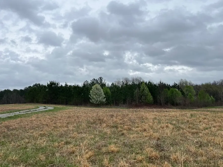 3100 Old Mckenzie Hwy, Henry, TN 38231 - #2
