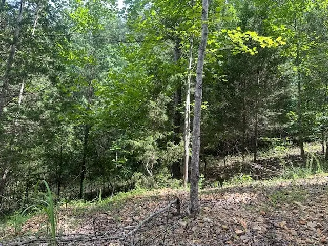11 Wildwood Lane, Nunnelly, TN 37137 - #2