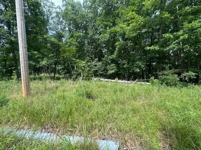 64 Blackwood Dr, Nunnelly, TN 37137 - #3