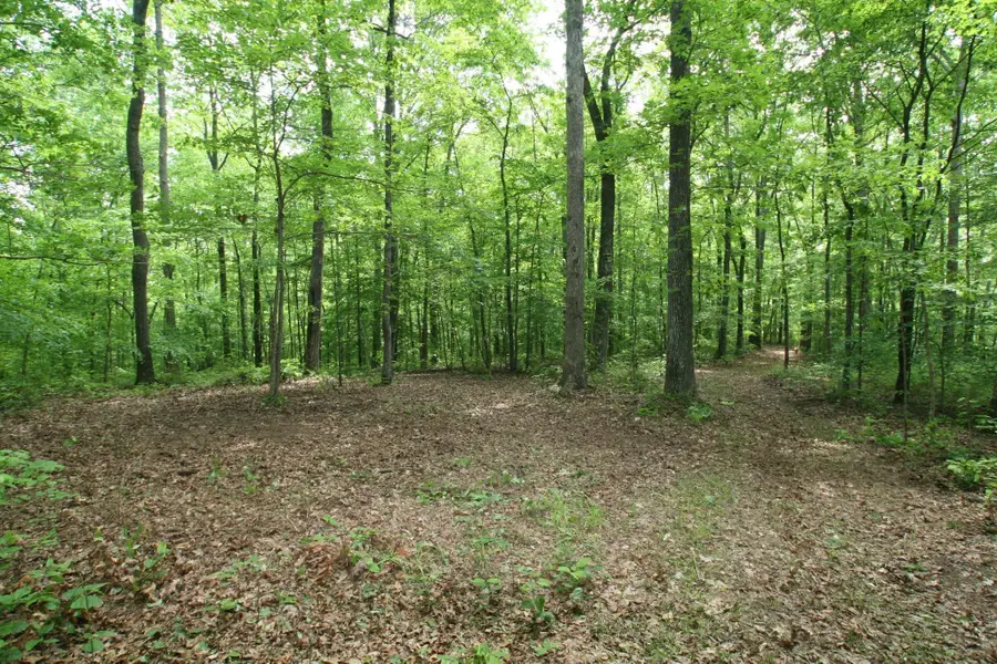 5671 Pinewood Rd, Franklin, TN 37064 - #2