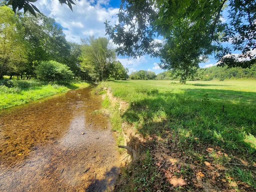 8312 Middle Butler Rd, Iron City, TN 38463 - #2