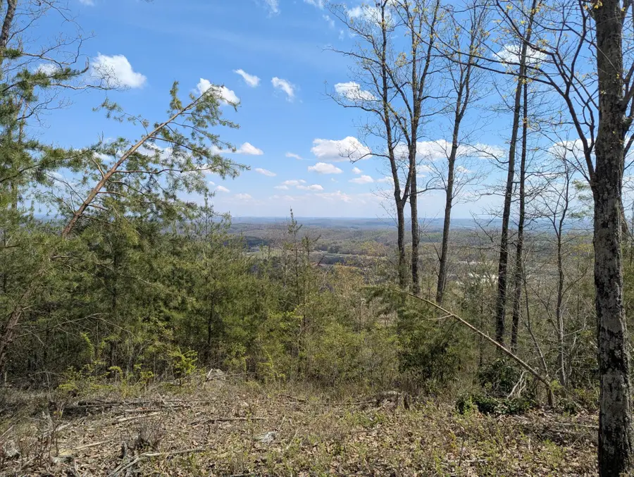10 Escape Drive, Evensville, TN 37332 - #2