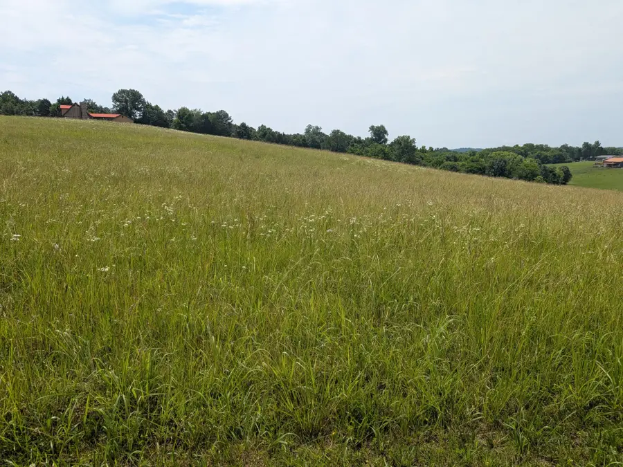 2 Riverbend Drive, Dayton, TN 37321 - #3