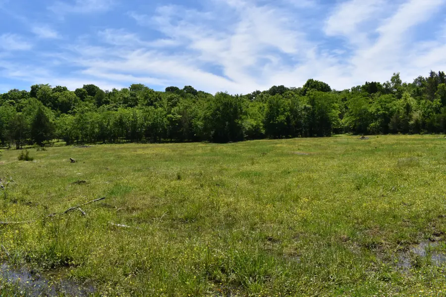 0 Belfast Farmington Rd, Lewisburg, TN 37091 - #2