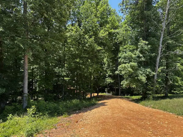 0 Littrell Road, Loretto, TN 38469
