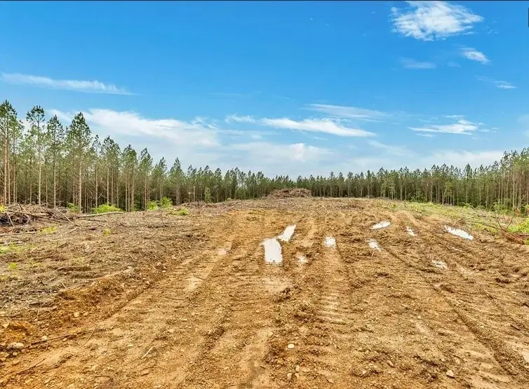 112 Cabin Rd, Hohenwald, TN 38462 - #3