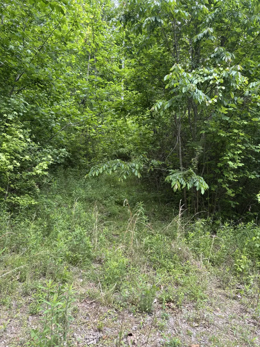 225 Hollow Road, Whitwell, TN 37397 - #2