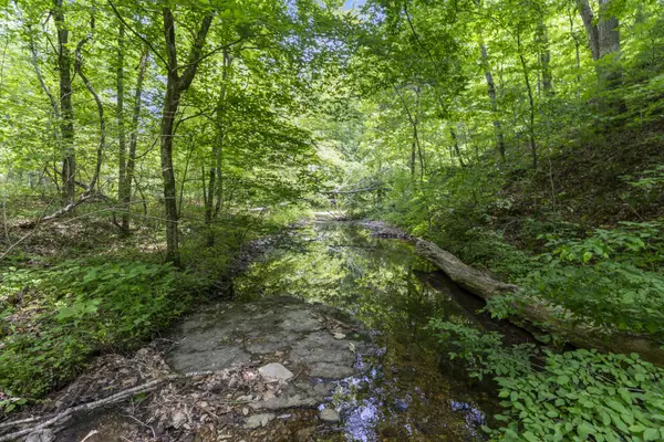 0 Deerfoot Drive, Pegram, TN 37143